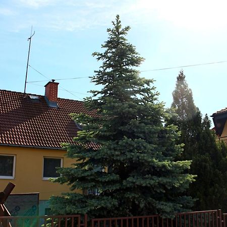 Dom Studia Petra Hotel Sturovo Exterior photo