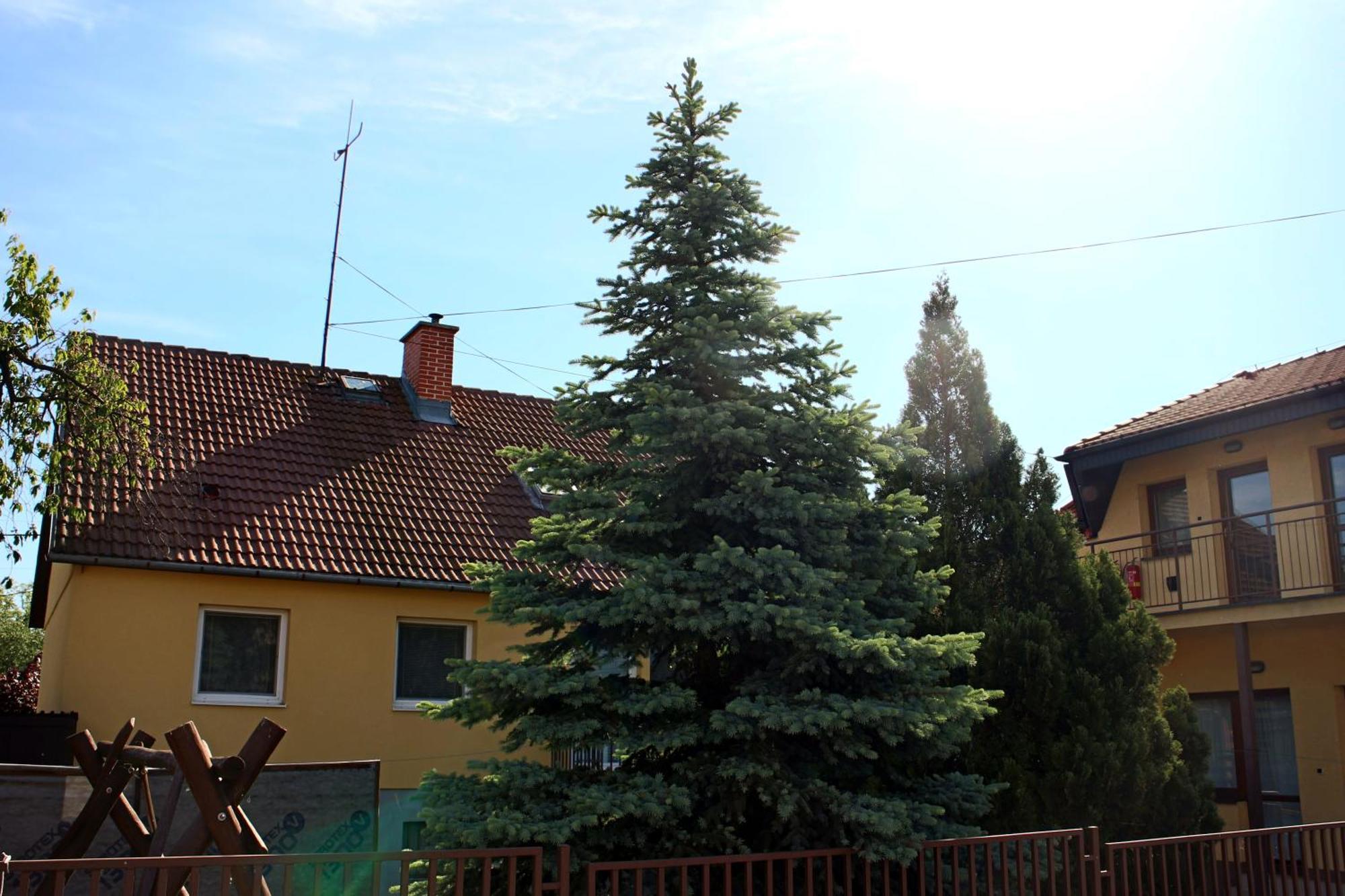 Dom Studia Petra Hotel Sturovo Exterior photo